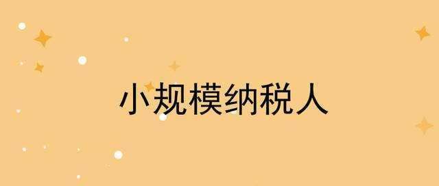 记账报税知识点：嘉定小规模纳税人如何报税？