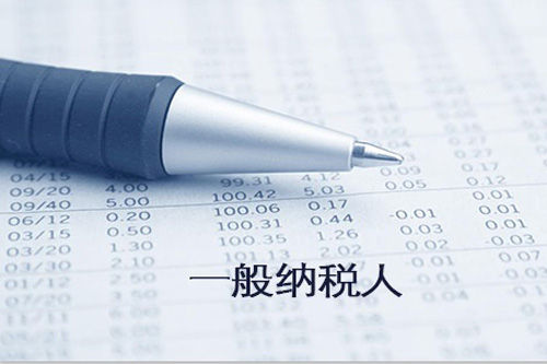 了解申请临港新片区一般纳税人新规定很重要，尤其是对于企业