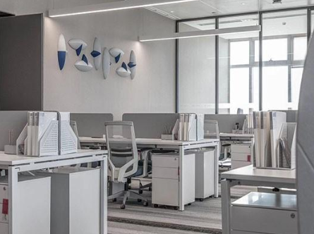 普陀分公司注册怎么办理税务登记？