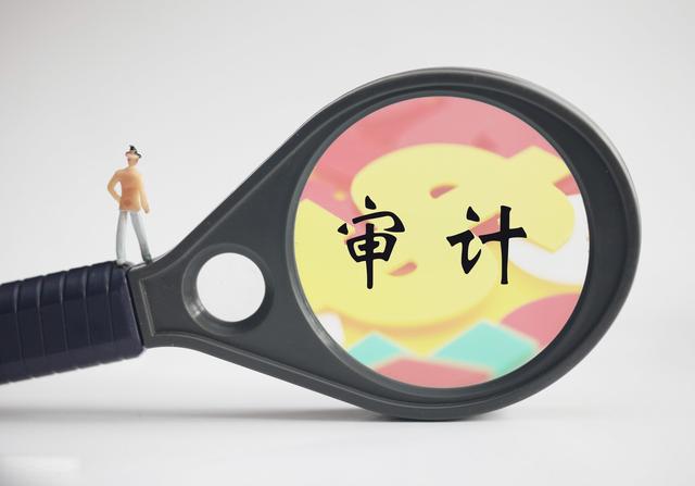 一般公司审计怎么审计